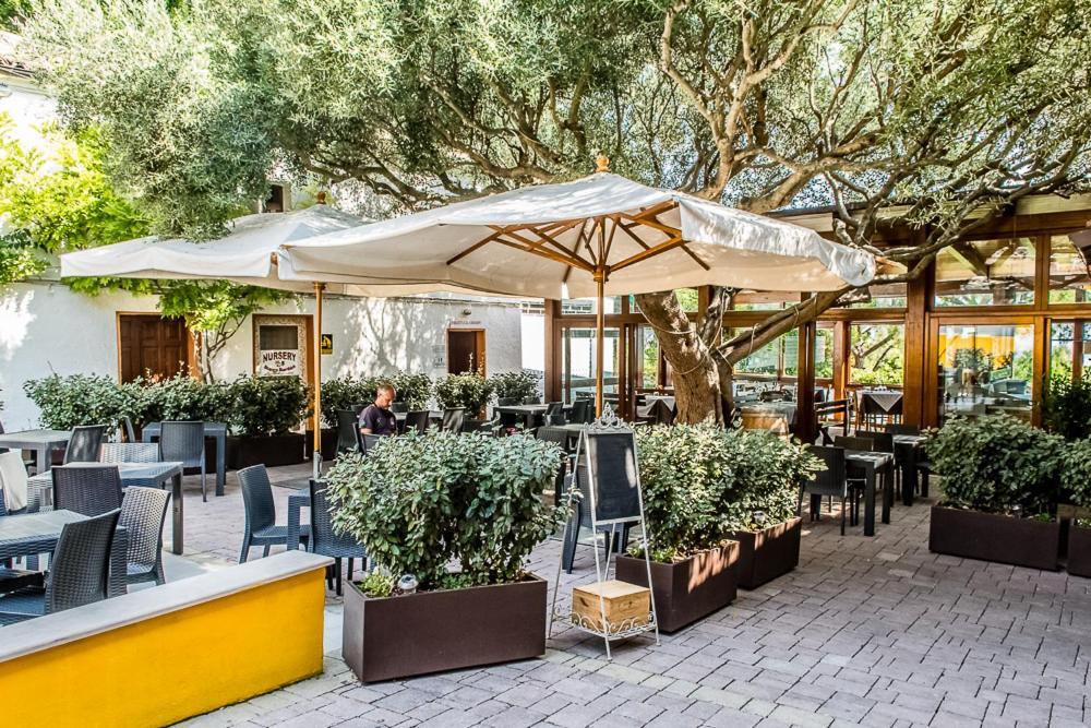 Camping Village Internazionale Sirolo Esterno foto